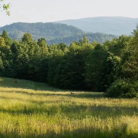 Gornolotnie Kolo Karpacza *
