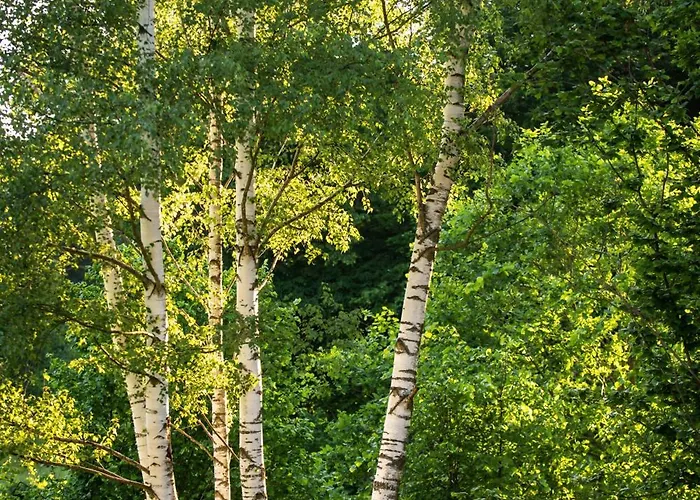 בית חווה Gornolotnie Kolo Karpacza *