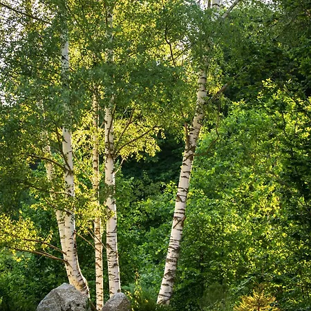 Lantgård Gornolotnie Kolo Karpacza *